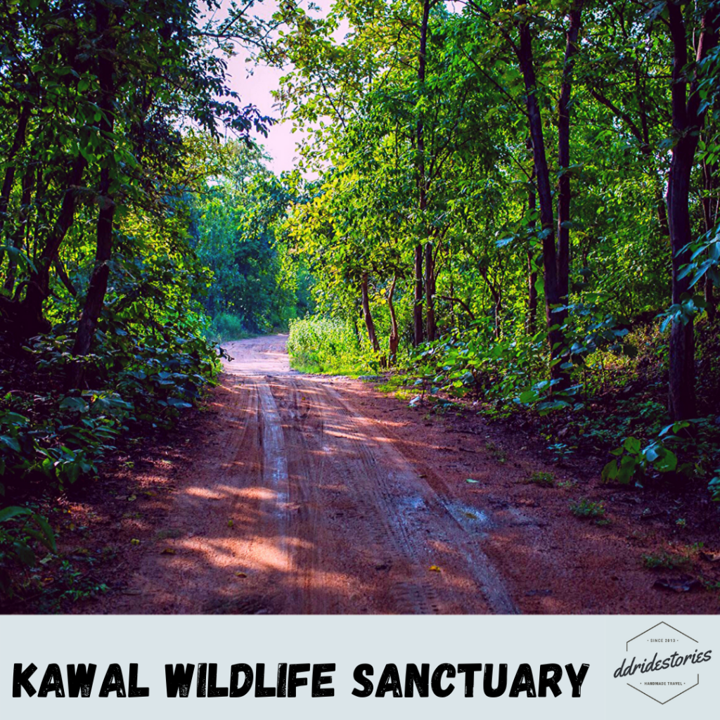 When the Tigers called.. Kawal Wildlife Sanctuary