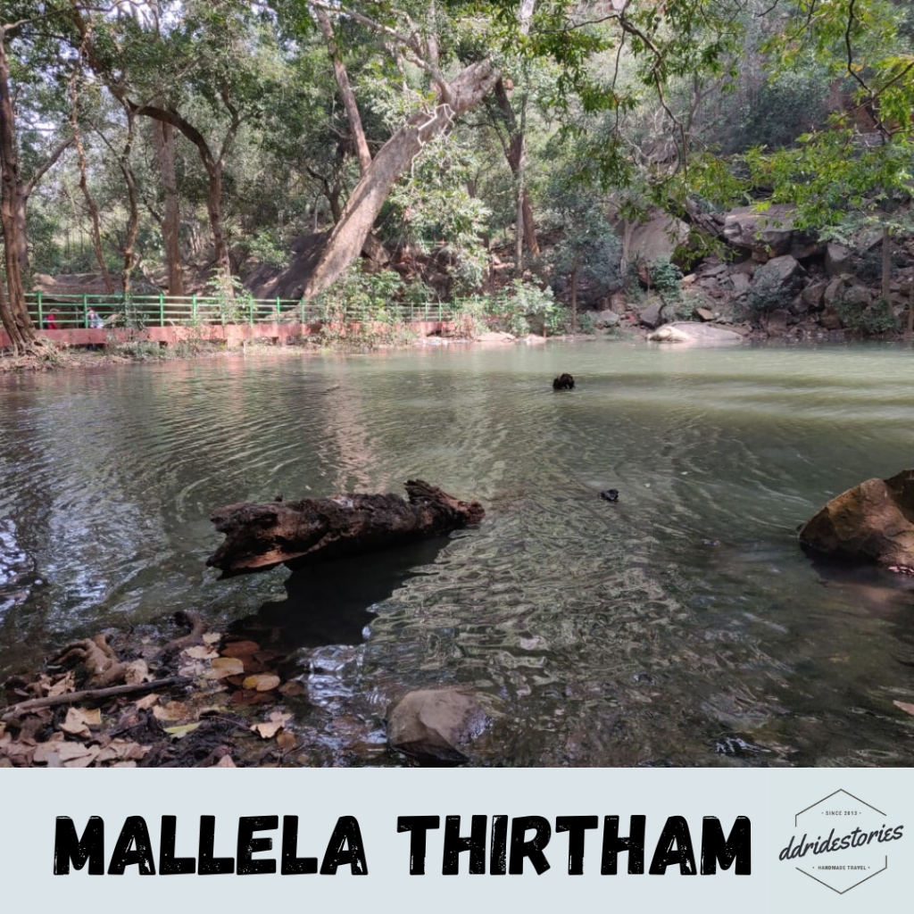 Mallela Thirtham Waterfall